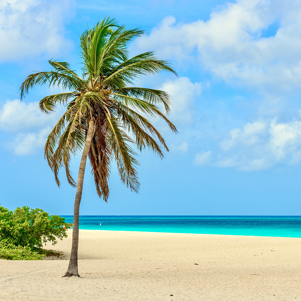 Malubu Beach